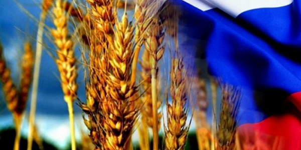 РФ вводит экспортную квоту на зерно и пошлину на пшеницу, ограничивает цены на масло и сахар